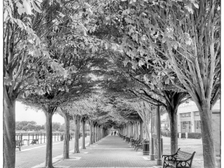 Draw me in by Necia Rogers