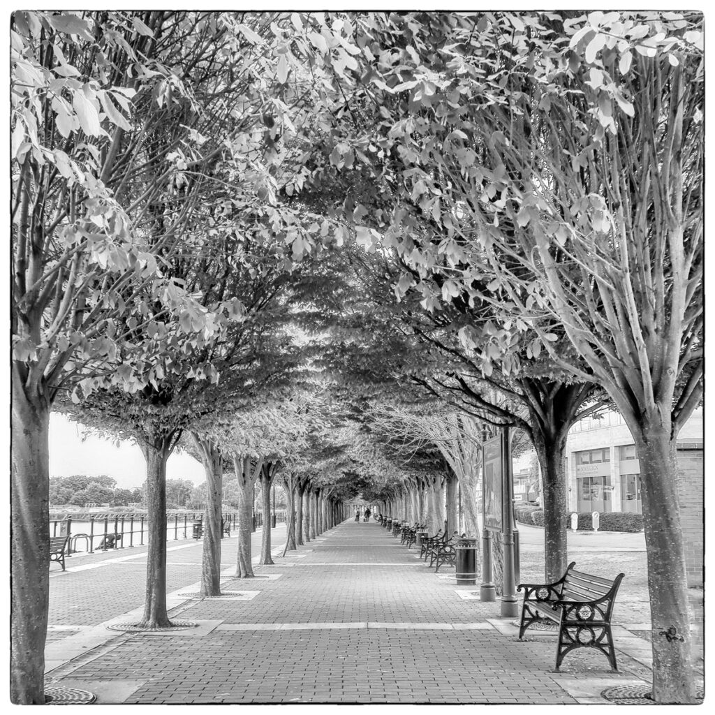 Draw me in by Necia Rogers