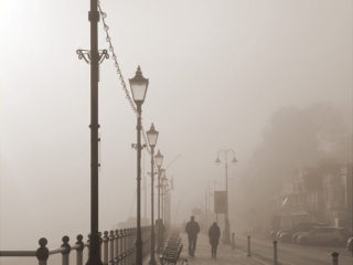 Lacking a sea view by Ann Phillips