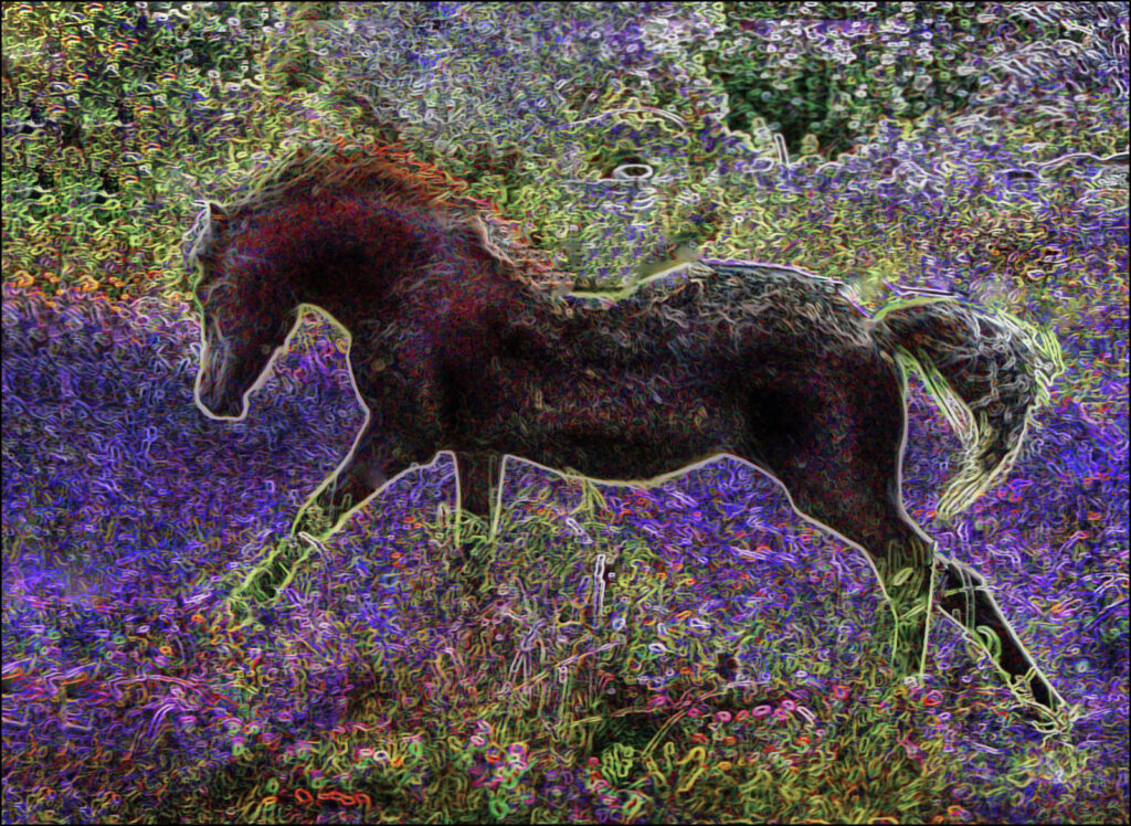 Connemara dream by Anne Phillips