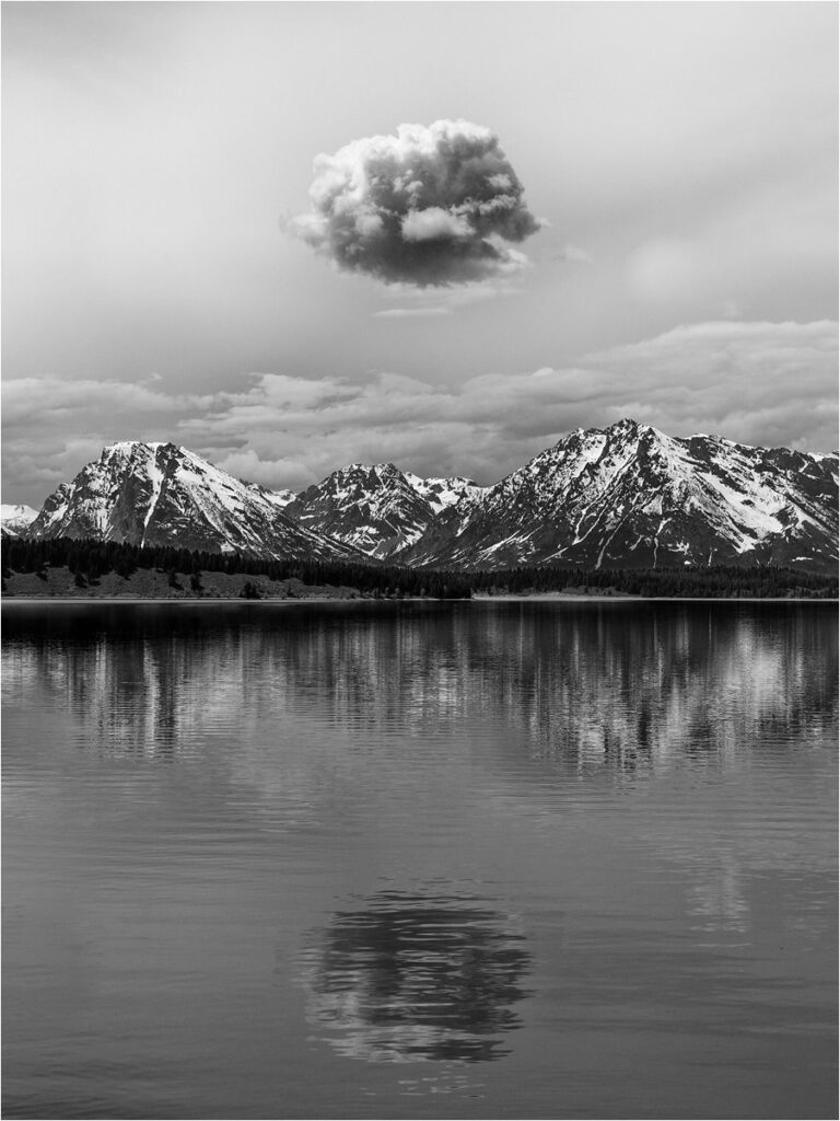 Lonely as a Cloud by Jeff Howe