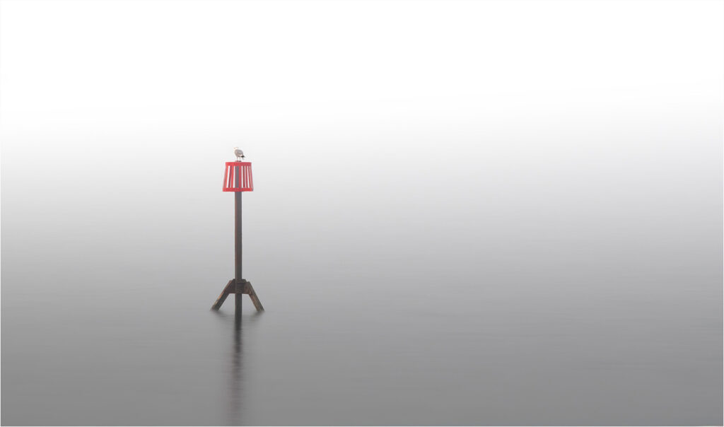 Misty morning by Andre Van de Sande