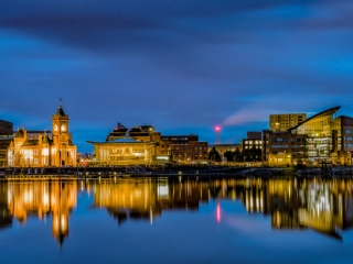 New Day in the Bay by Chris Chinnick