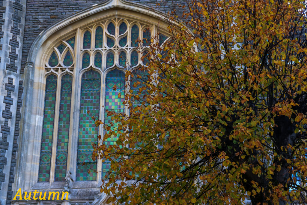 Autumn by Anne Phillips