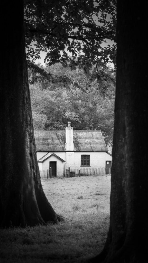 Maestir School by Niall