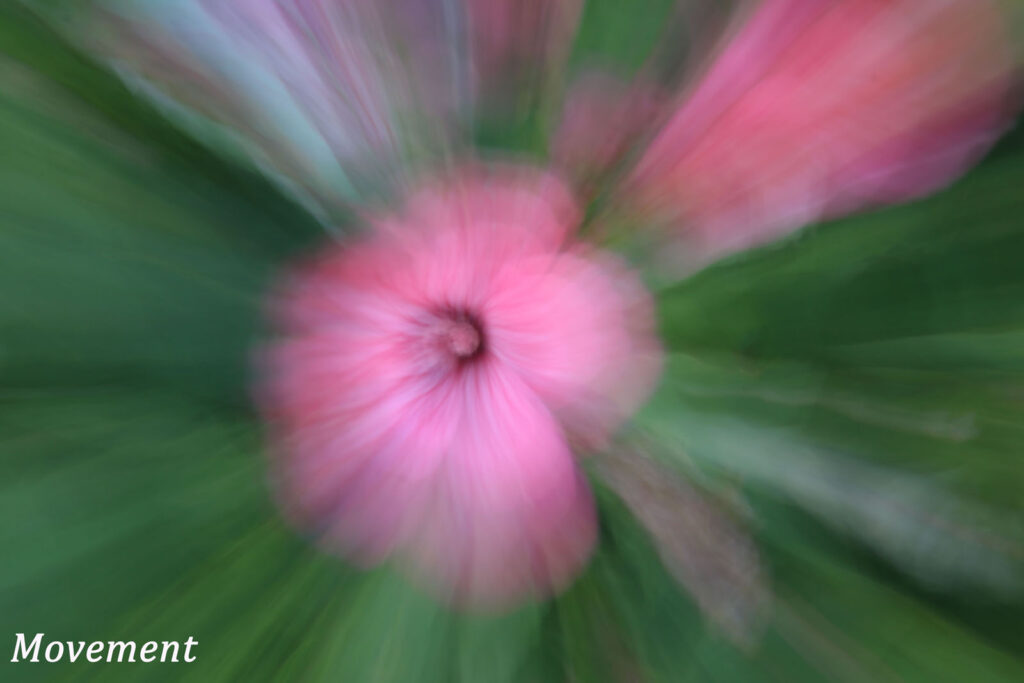 Movement by Anne Phillips