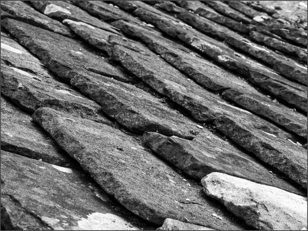 St. Fagans 1 by Steve Willcocks