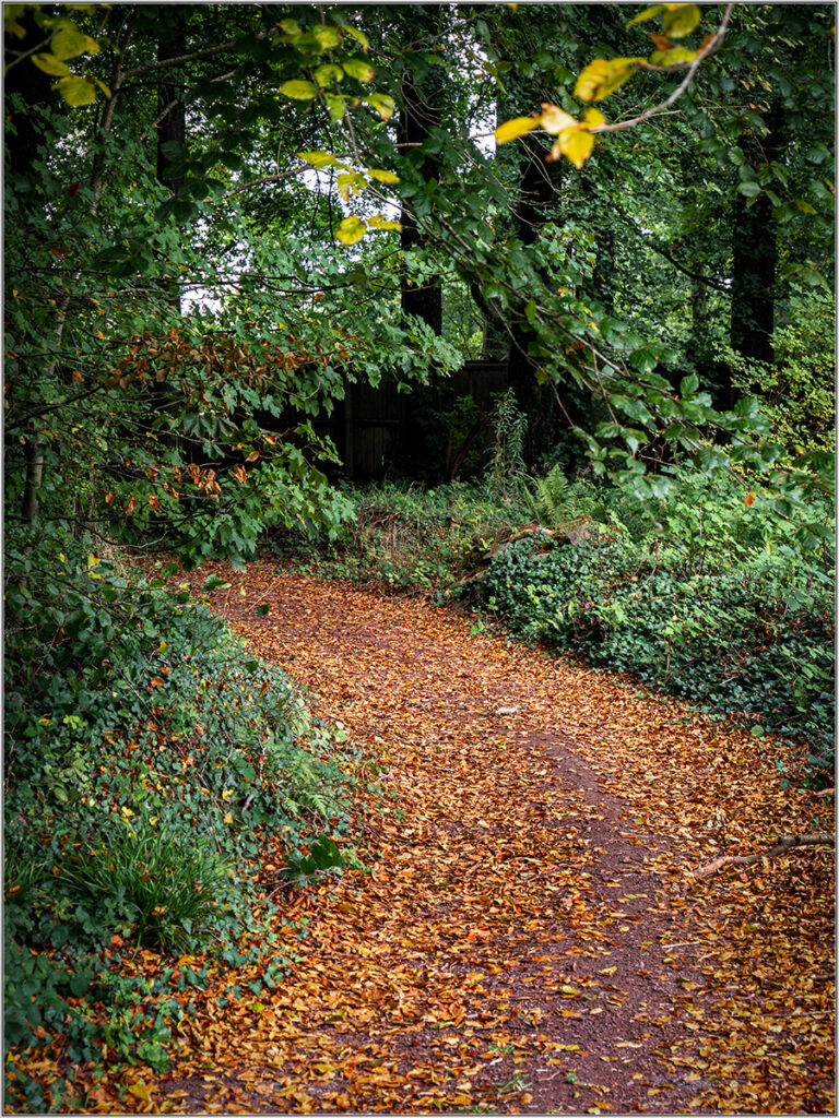St. Fagans 4 by Steve Willcocks