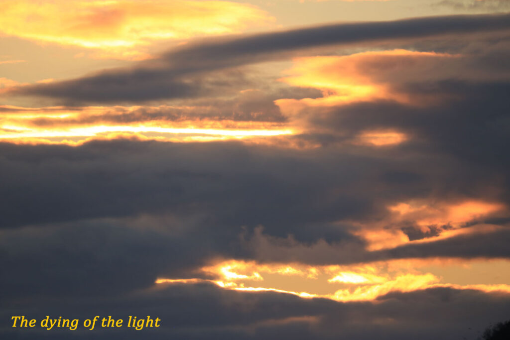 The dying of the light by Anne Phillips