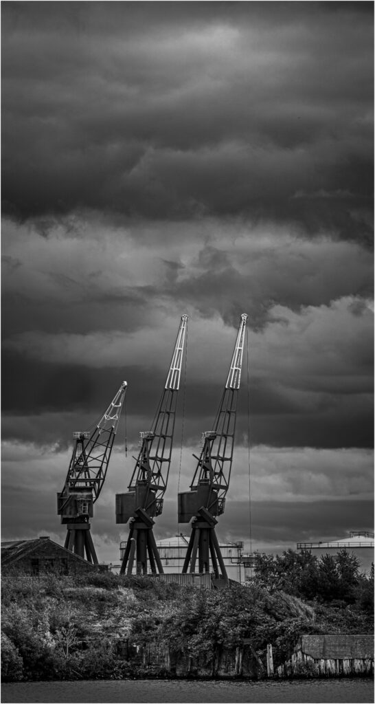Three cranes by Niall
