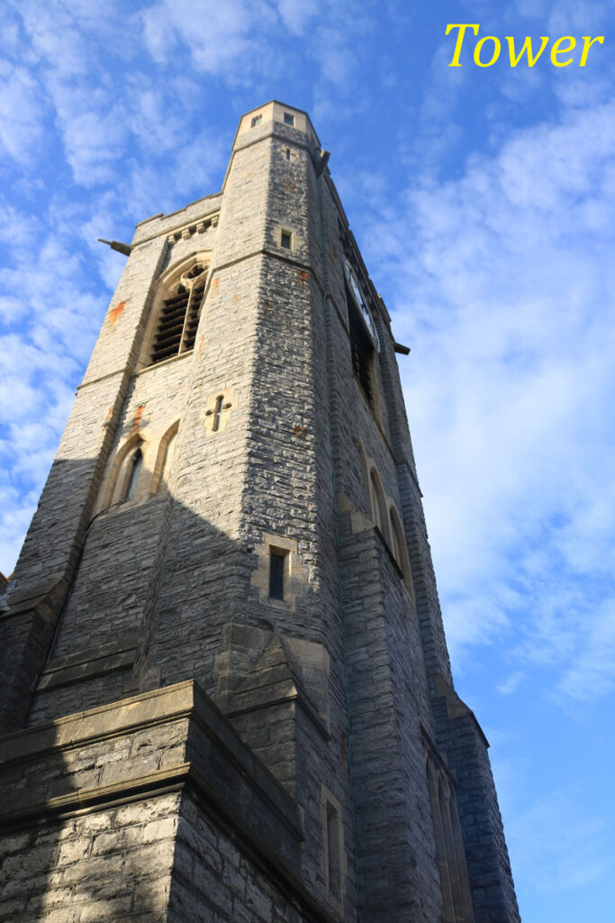 Tower by Anne Phillips