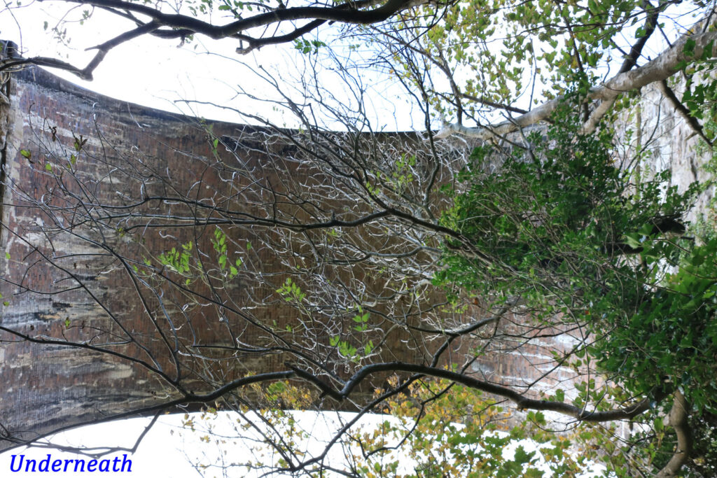 Underneath by Anne Phillips