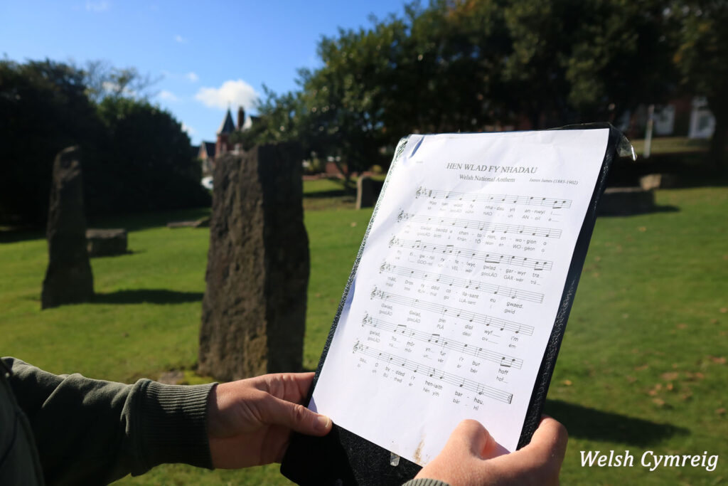 Welsh Cymrieg by Anne Phillips