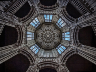 Gothic symmetry by David Barton