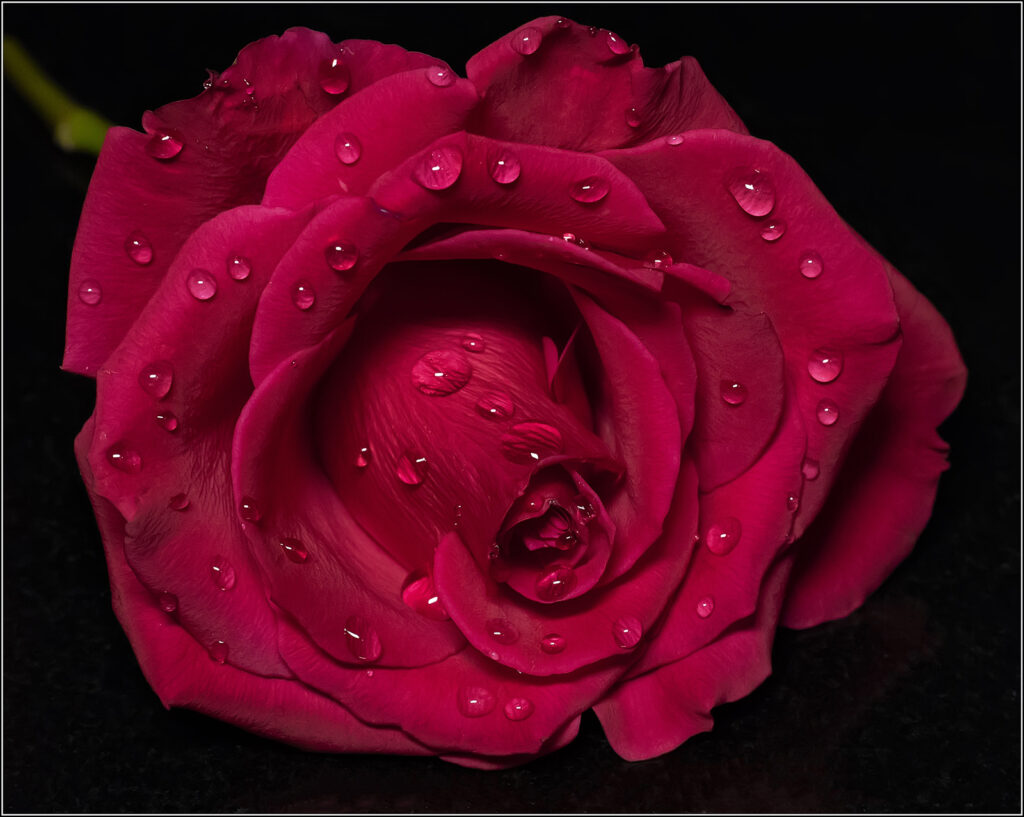 Symbol of Passion by David Barton