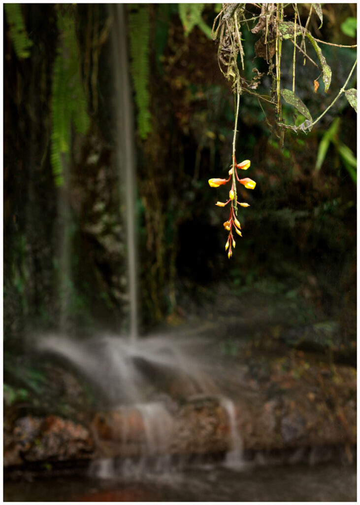 Hanging Around by Nevia Rogers