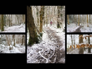 3 Woodland snow panel (Desaturated red) by Ann Phillips
