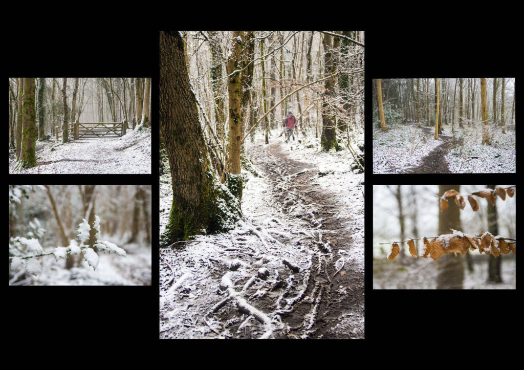 3 Woodland snow panel (Desaturated red) by Ann Phillips