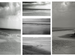 Beach by David Brown