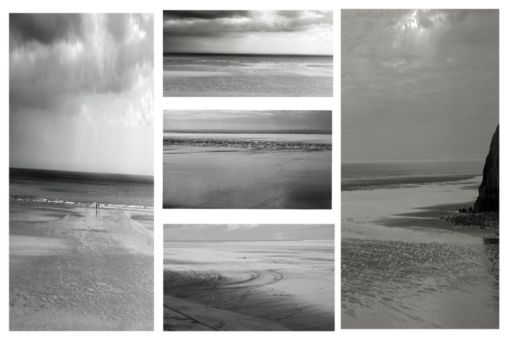 Beach by David Brown