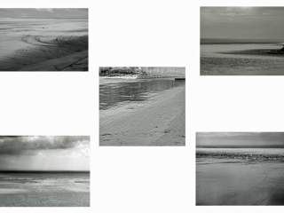 Beaches by David Brown