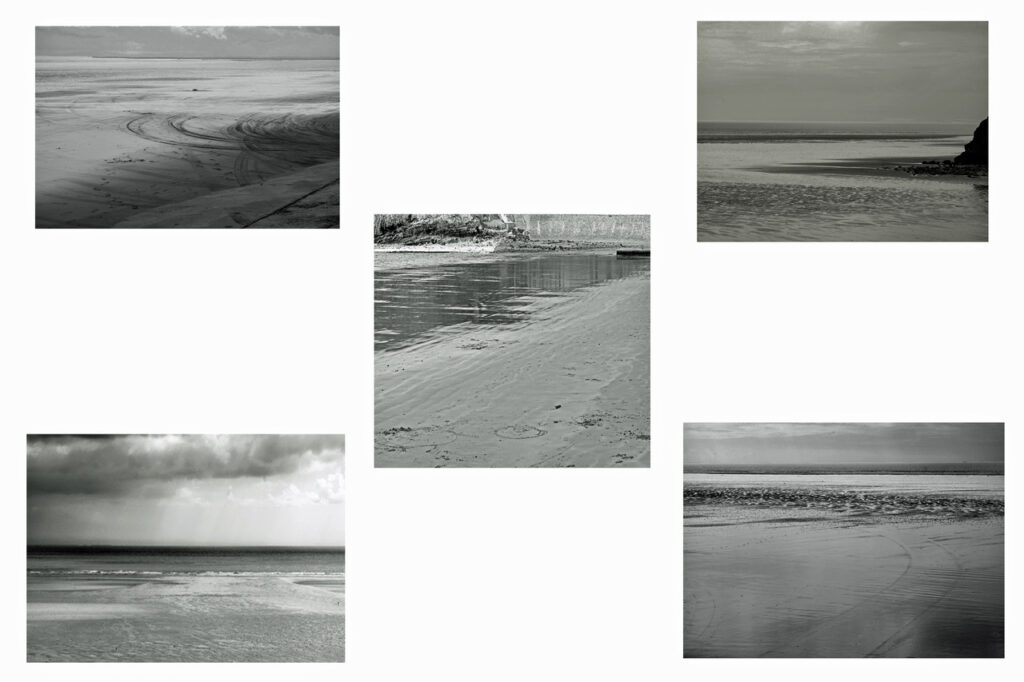 Beaches by David Brown