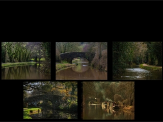 Canal in winter by Ann Phillips