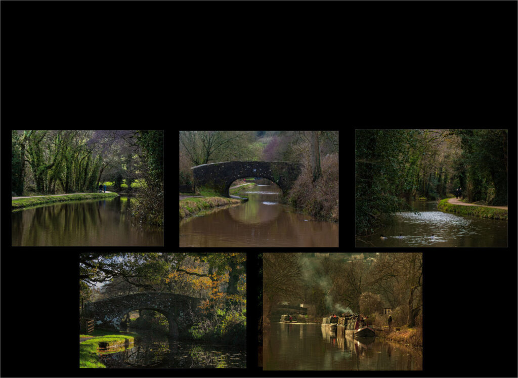 Canal in winter by Ann Phillips