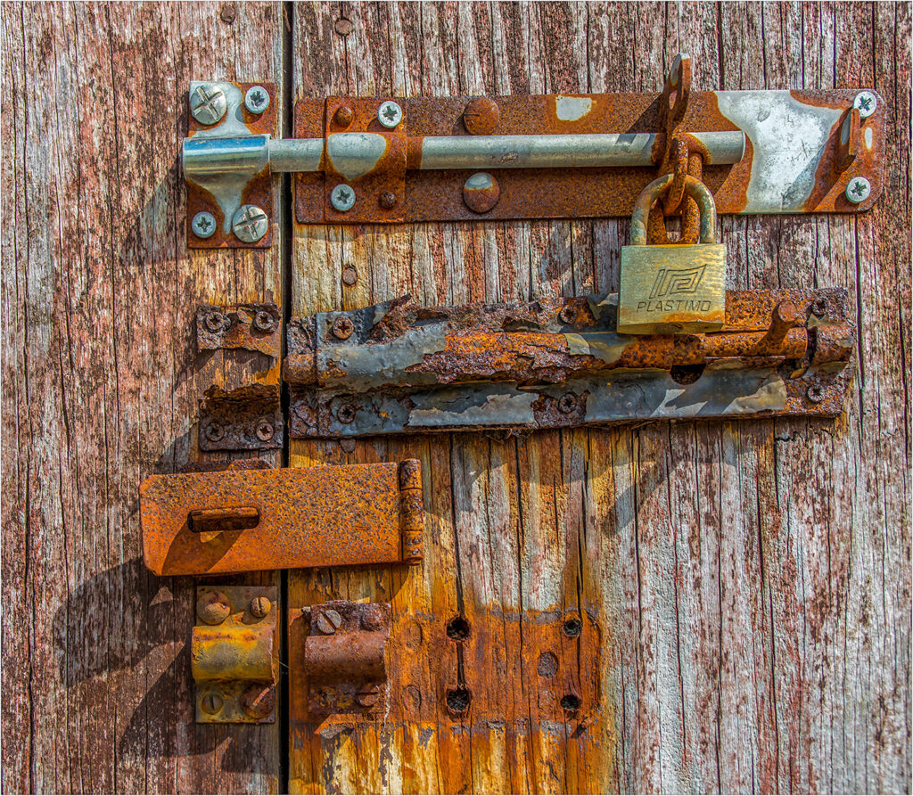 Evolution by Andre Van de Sande