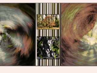 Hereford Woods panel