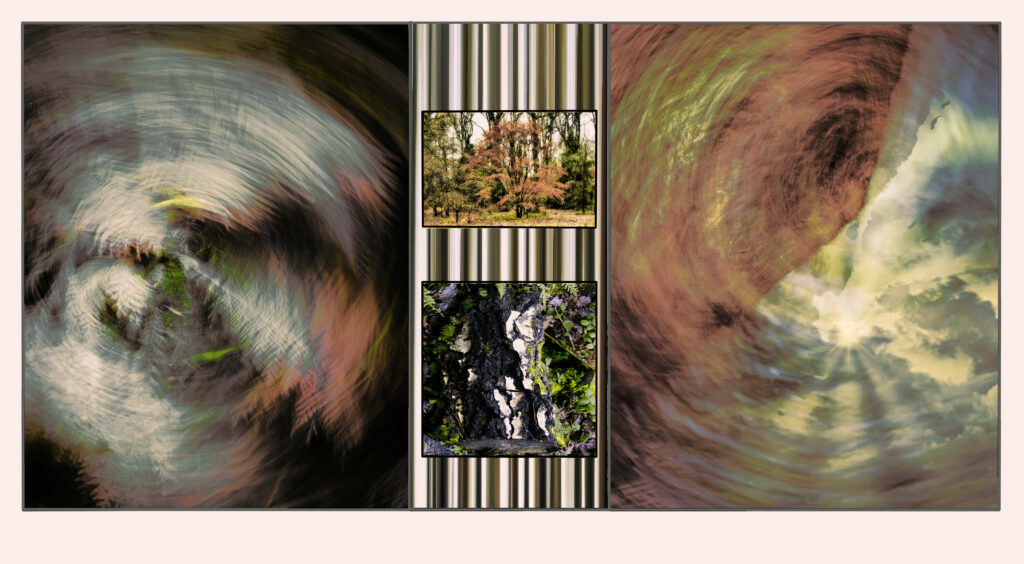 Hereford Woods panel