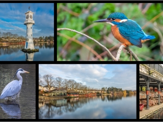 Roath park by Andre Van de Sande