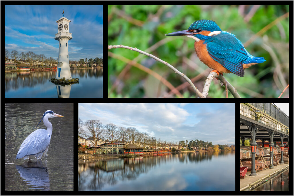 Roath park by Andre Van de Sande