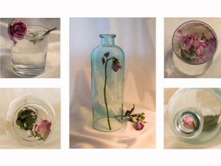 Roses in glass by Ann Phillips