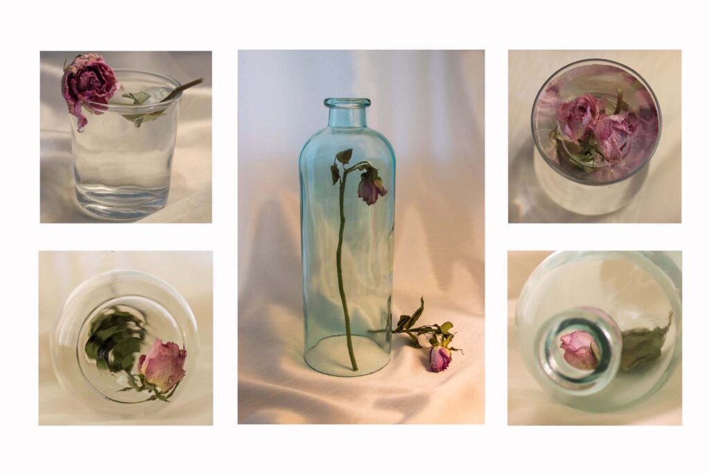 Roses in glass by Ann Phillips