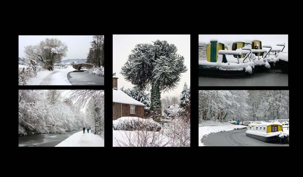 Snow on the canal by Ann Phillips