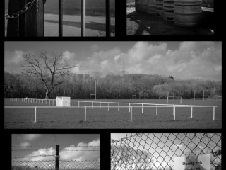 Sports In Lockdown by Amanda Golton