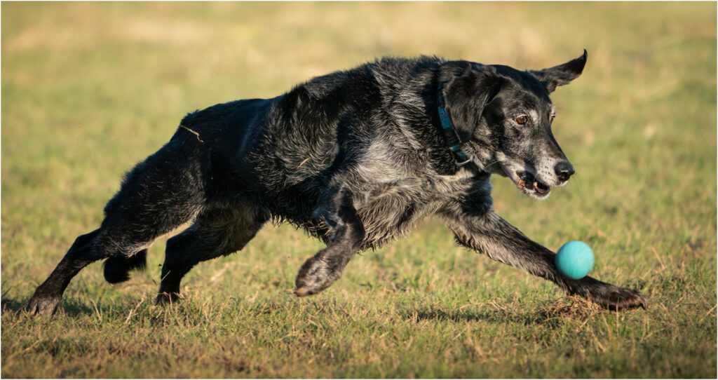 Still got it at his age by Niall