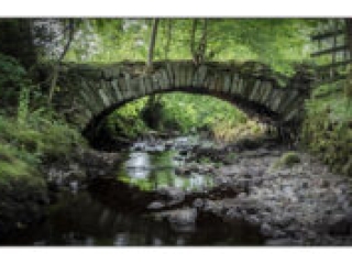 Untitled by Stephen Wilcocks