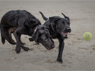 Competition by Niall