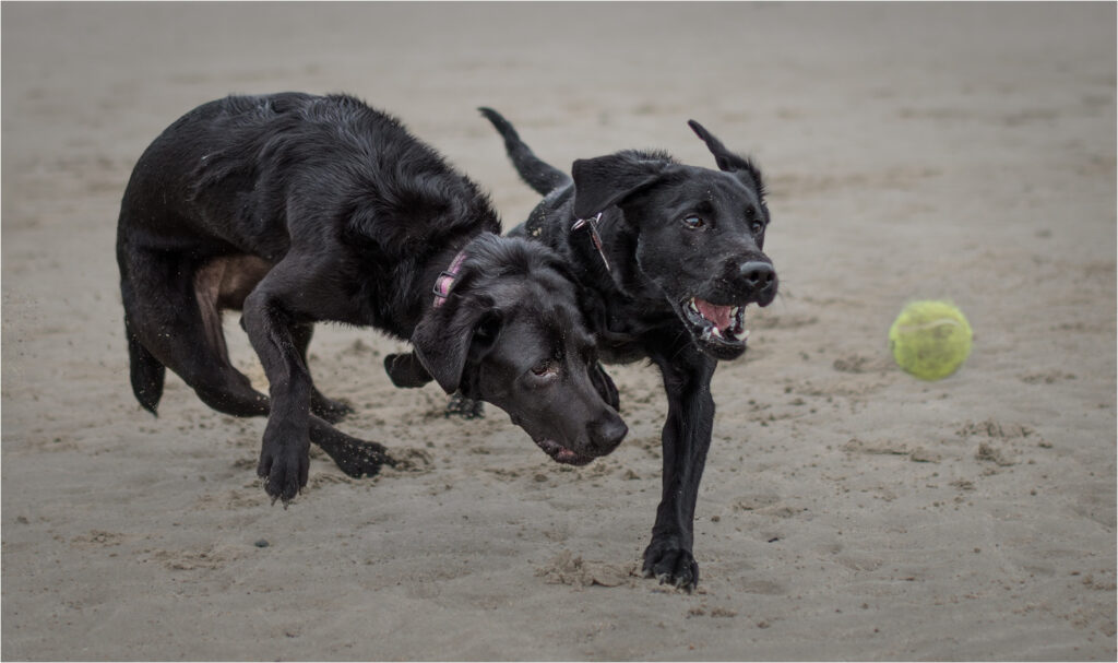 Competition by Niall