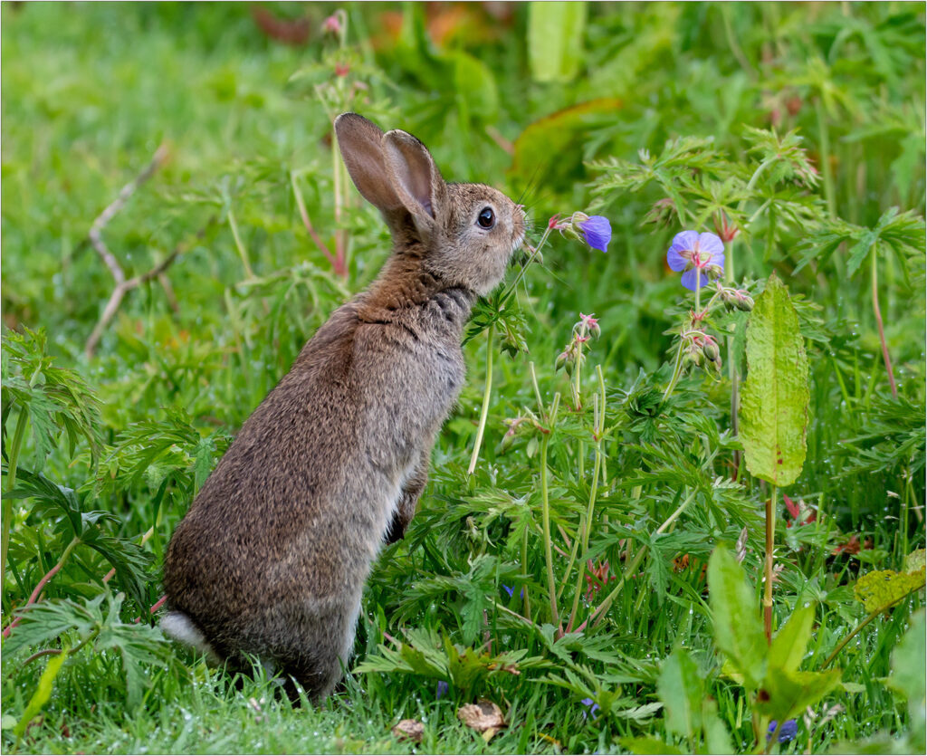 Smells good enough to eat by Andre Van de Sande