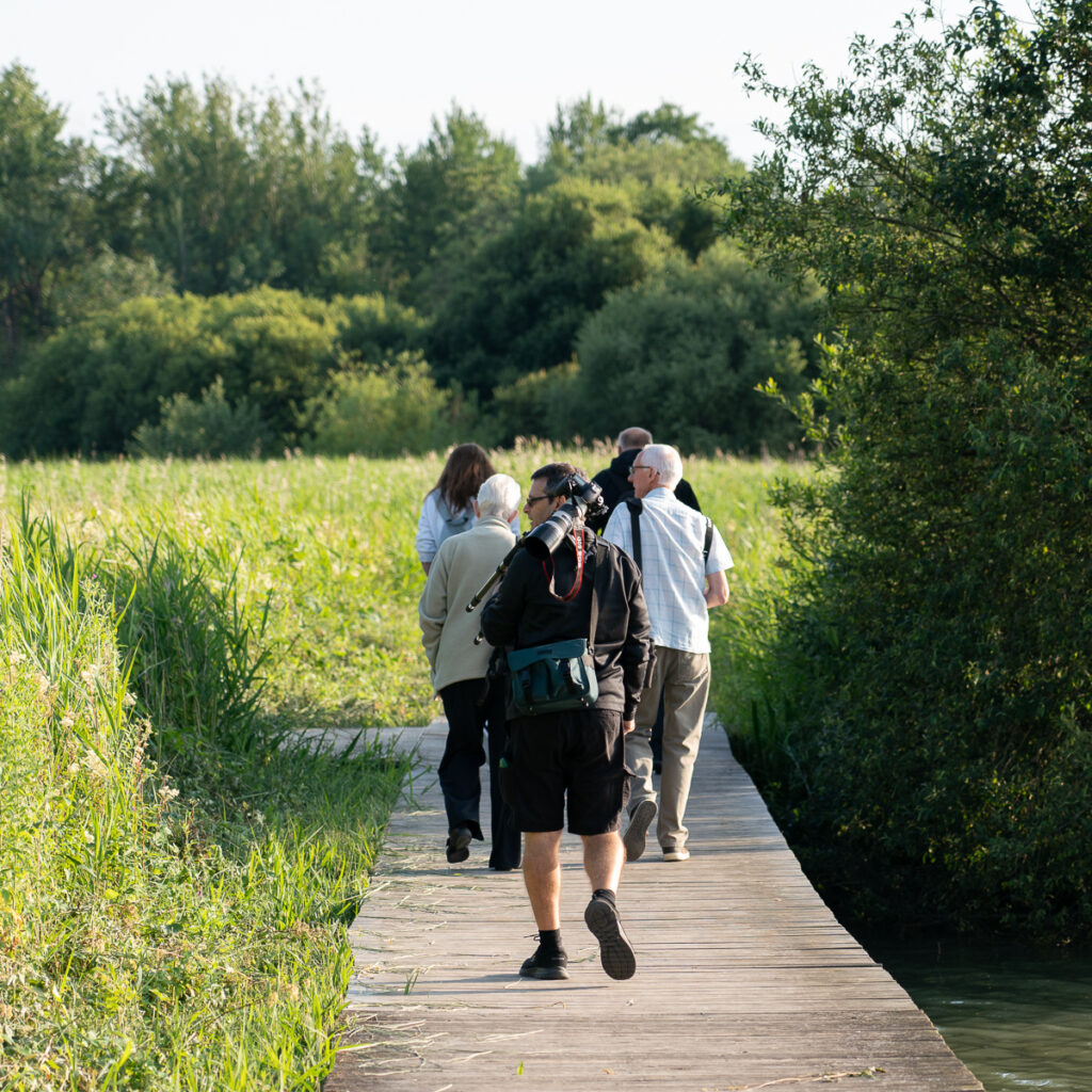 Cosmeston (July 2021) - In serach of photographs by Niall