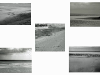Beaches by David Brown