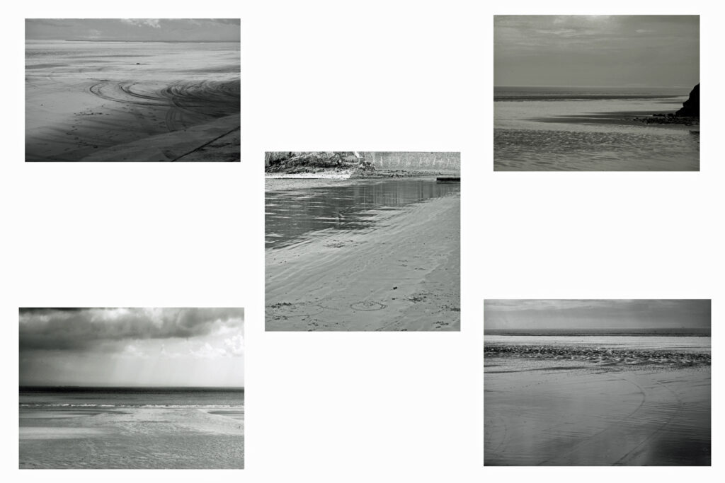 Beaches by David Brown