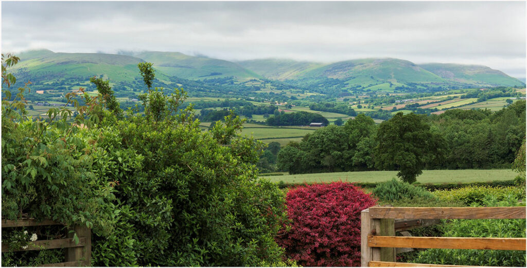 Beyond the Garden by Dean Pine