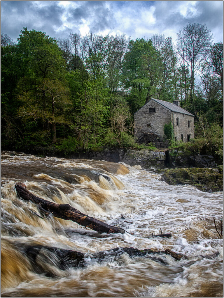 Cenarth Falls by Dave Russell