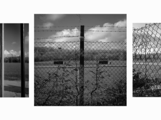 Sports In Lockdown by Amanda Golton