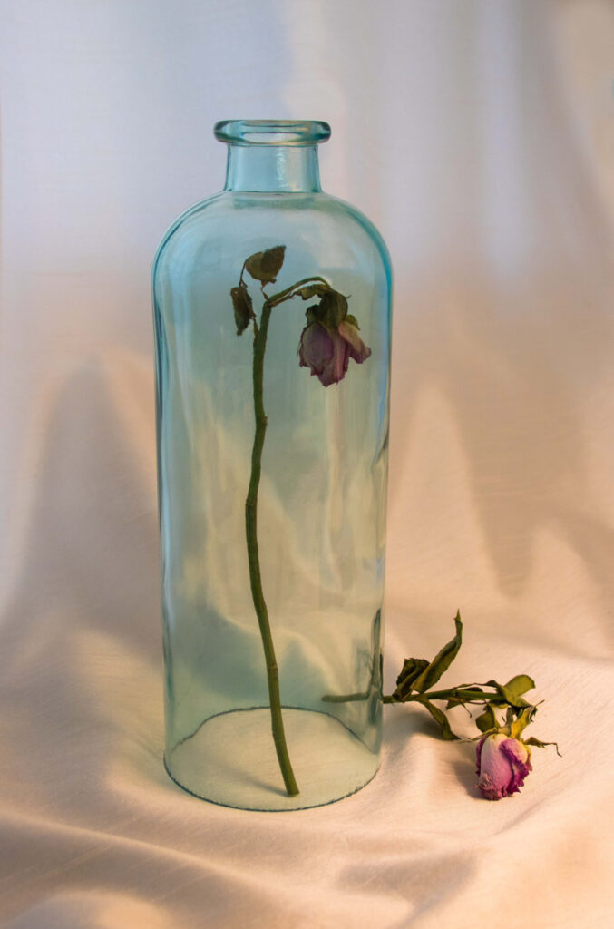 Trapped by Anne Phillips