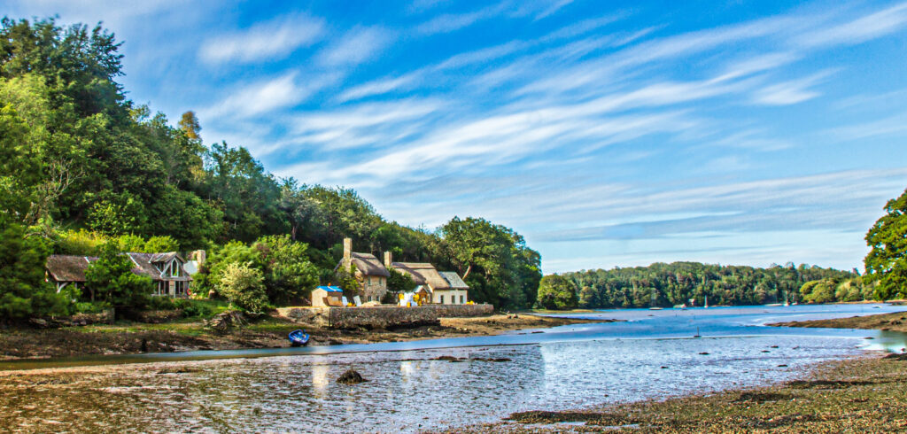 A Dart river paradise by Richard Payton